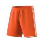 2018 Orange Shorts